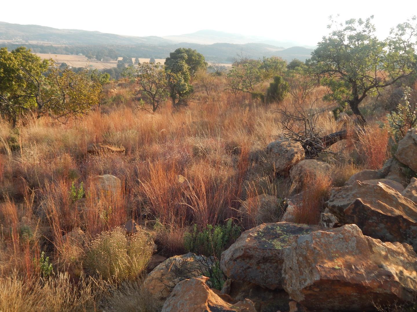 Vacant Land for Sale - Gauteng